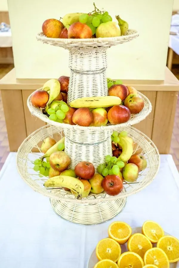 ** Hotel Sommerhotel Don Bosco Vídeň Rakousko